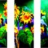 20110913114612-serie__girasoles