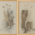 20110913122758-6-flower_and_stone_overlay_i