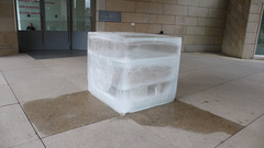 20110914004126-gross_42