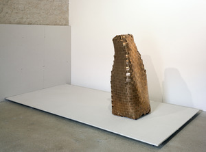 20110914004430-gross_83