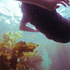 20110914123303-alanafinal_web