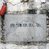 N507835680_252490_5205