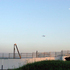 N507835680_252494_1334