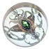 20110914205254-embryo_4