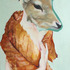 20110915004628-biche_rousse