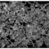 20110915065826-4_notation_from_gridville_6785