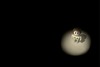 20110915140503-stark_for_web