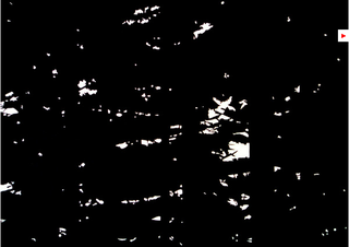 Durchblick IV,Tobias Becker