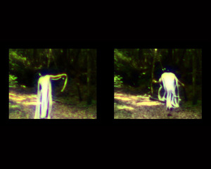 20110915211237-aokigahara