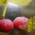 Pomegranet