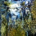 20110919123851-mt_view
