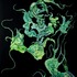 20110919130455-organic_growth
