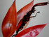 Detail5