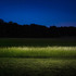 20110921081700-harold_ross_untitled_3