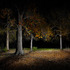 20110921081748-harold_ross_untitled_5