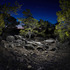 20110921081923-harold_ross_untitled_9