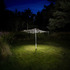 20110921082215-harold_ross_untitled_15