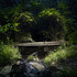 20110921082344-harold_ross_untitled_20