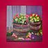 20110921143519-bucket_of_flowers_