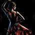 20110921212101-_28__flamenca_small_
