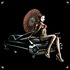 20110921212437-_26__59_caddy_geisha_small_