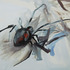 20110922193055-blackwidowlr