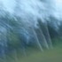 20110922214135-swayingtrees