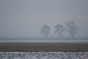 20120314141650-smog_lake_city_6