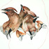 20110923085454-circle__2011__watercolor_on_paper__65_x_50_cm