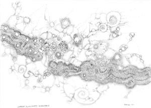 20110923111640-complex_fluid_a_novel_surfactancy