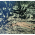 20110925014248-colin_burns-arroyo_cuerpo
