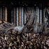 Gursky2