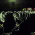 20110925110149-coyote_s_day_of_the_dead