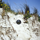 20110926090012-holt_email