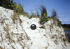 20110926090012-holt_email