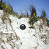 20110926090012-holt_email