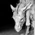 20110926093539-aesops-fables-i-full-bleed_1