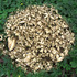 20110926130642-bosques_goldenfoliage_2010