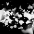 20110927082421-13_dirt