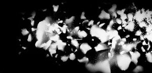 20110927082421-13_dirt