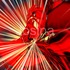 20110927141016-beyeweled_red_005