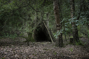 20110928041224-the_dwellings_1__2011