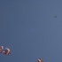 20110928062337-_dsc9463_smaller_jpeg