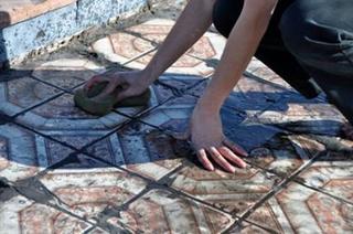 The Imaginary Houses of Palestine,Wafaa Yasin