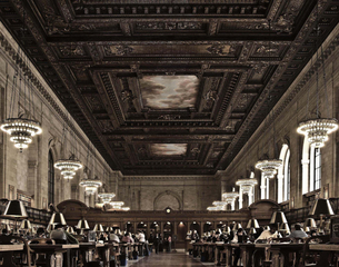 New York Library,Lauren Whitney