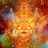 20110930085634-dynama-_l_-a-_cropped__1_