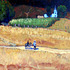 20111009121015-campesino_cacahuatero_con_nino_y_burro