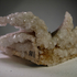 20111001011340-arnold_2