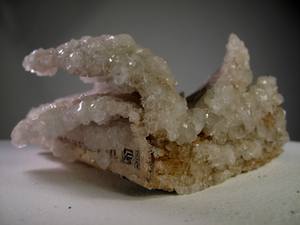 20111001011340-arnold_2