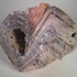 20111001011743-arnold_1
